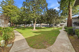 031_F8_4013 Ralston Common