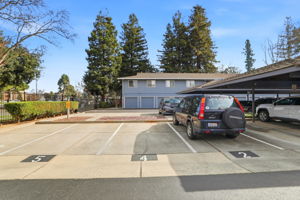 036_F8_4013 Ralston Common