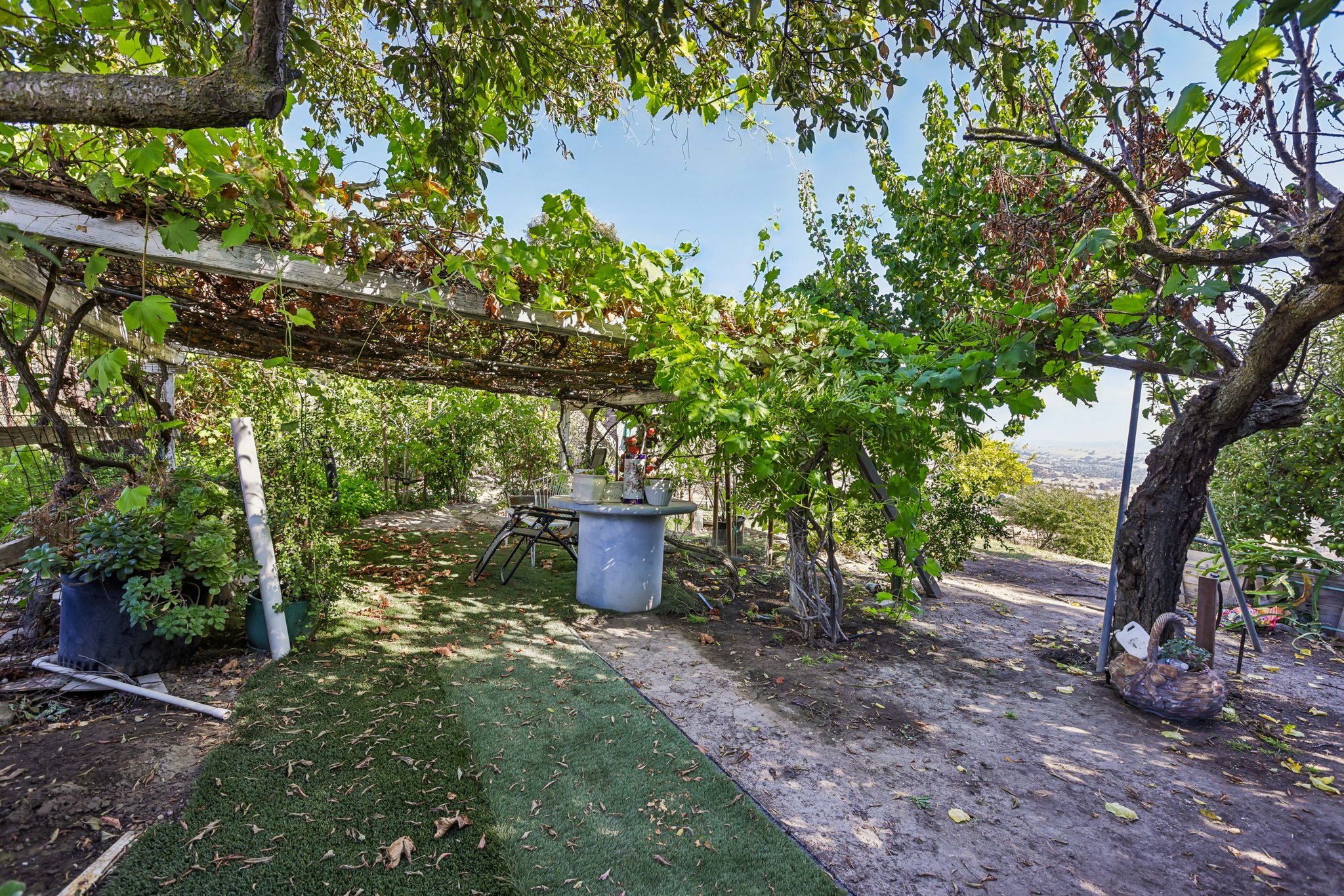 4014 Higuera Highland Ln-S0209-067.jpg