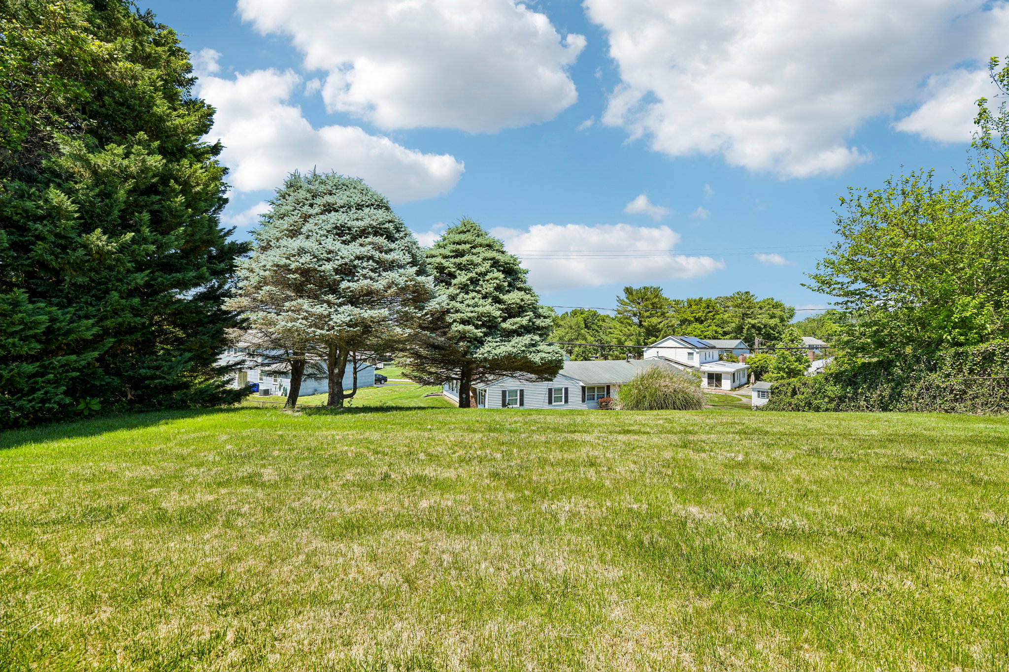 Woodrow Ln-S0406-049.jpg