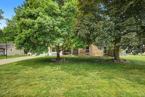 Photo 0