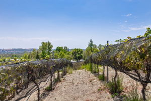 Sierra De Ronda 126