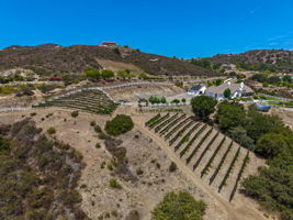 Sierra De Ronda 131