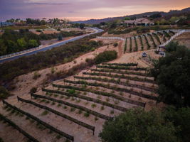 Sierra De Ronda 141
