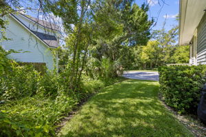 Side Yard