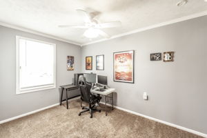  Photo 48