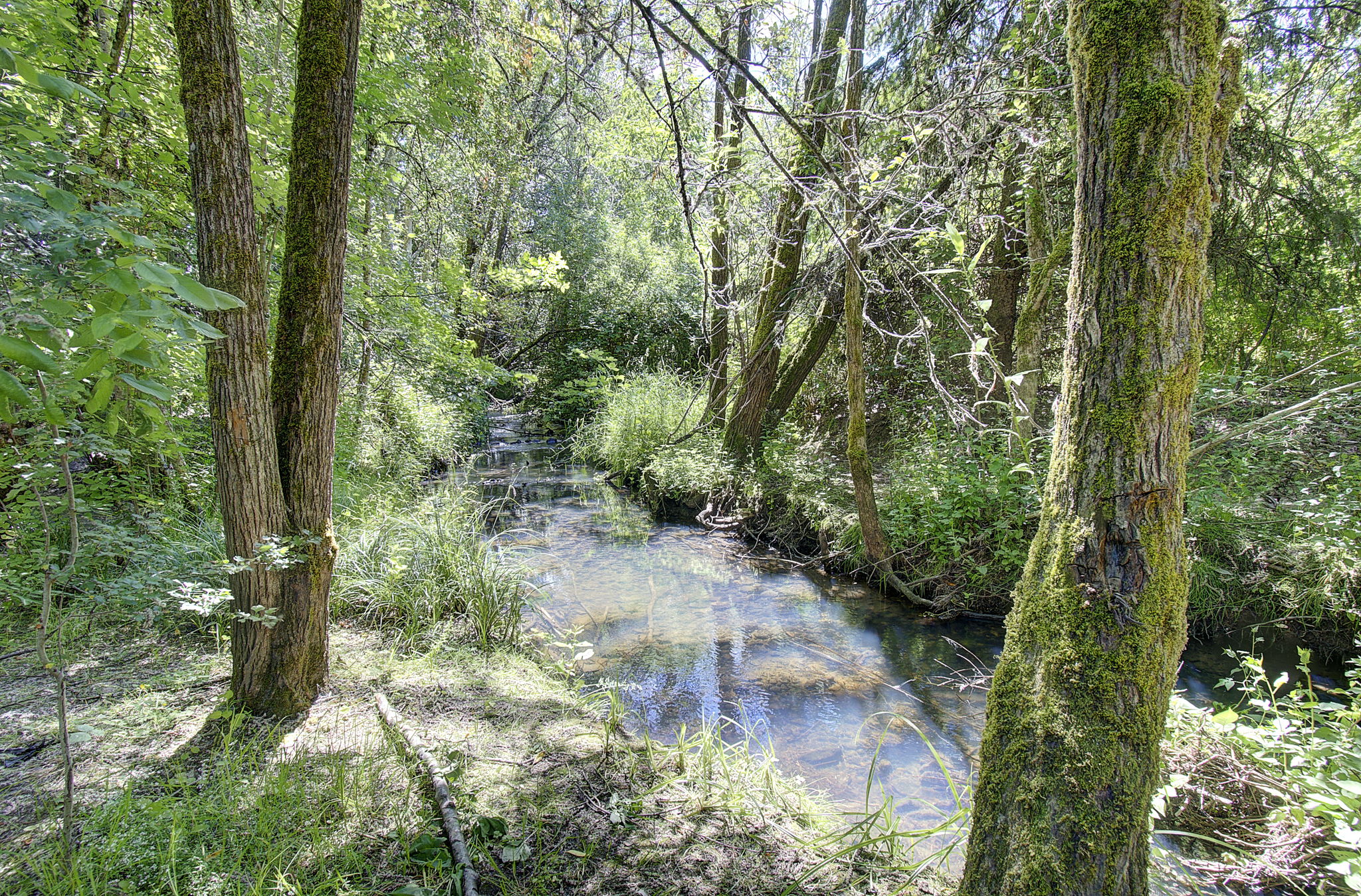  Photo 31