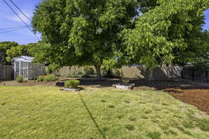 058_F8_4020 W Judy Ave
