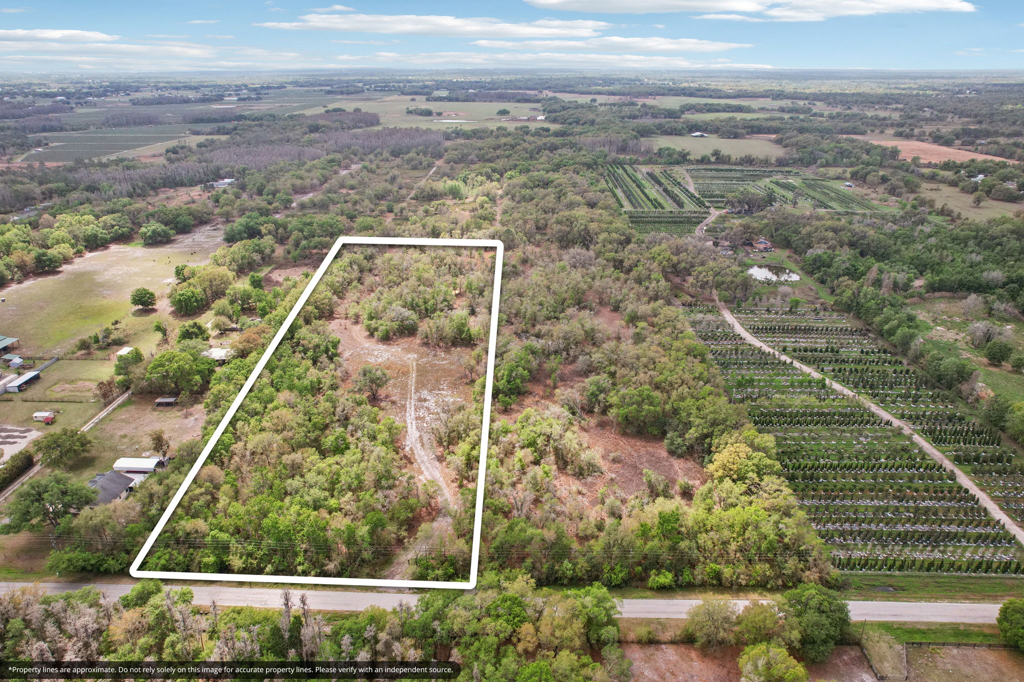 Plant City, FL 33565, USA Photo 21