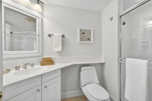 Guest Bathroom 1