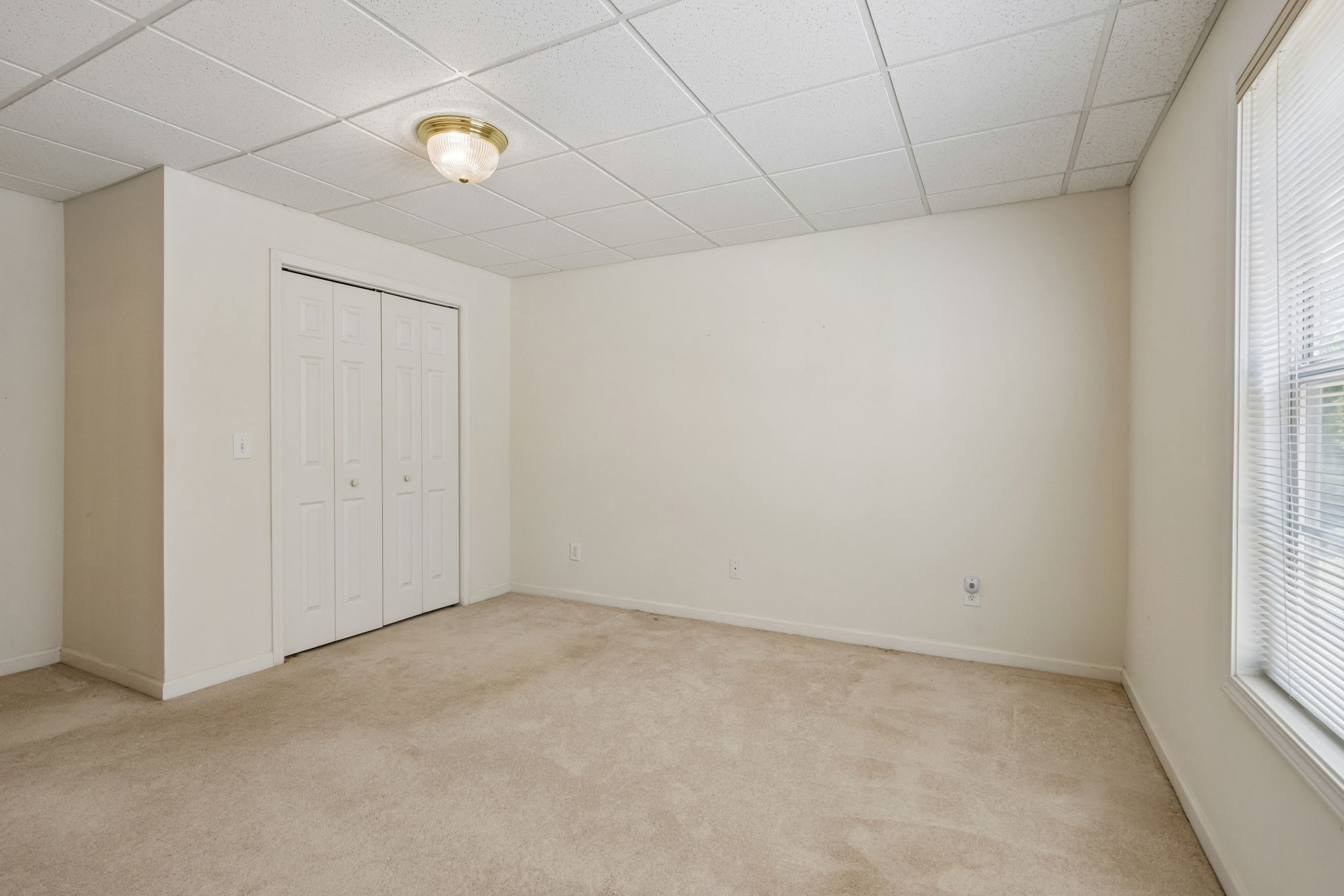 Basement Apartment
