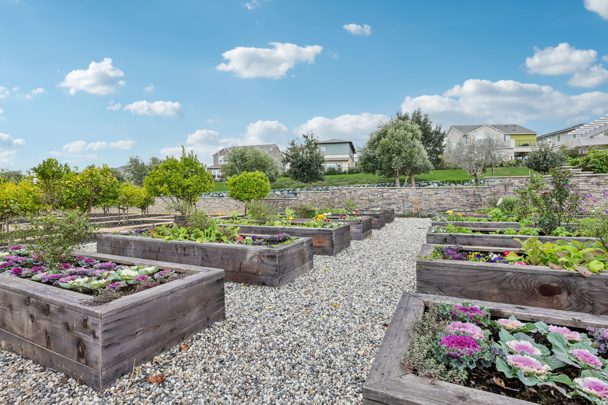 Windsor Wy-S3112-904