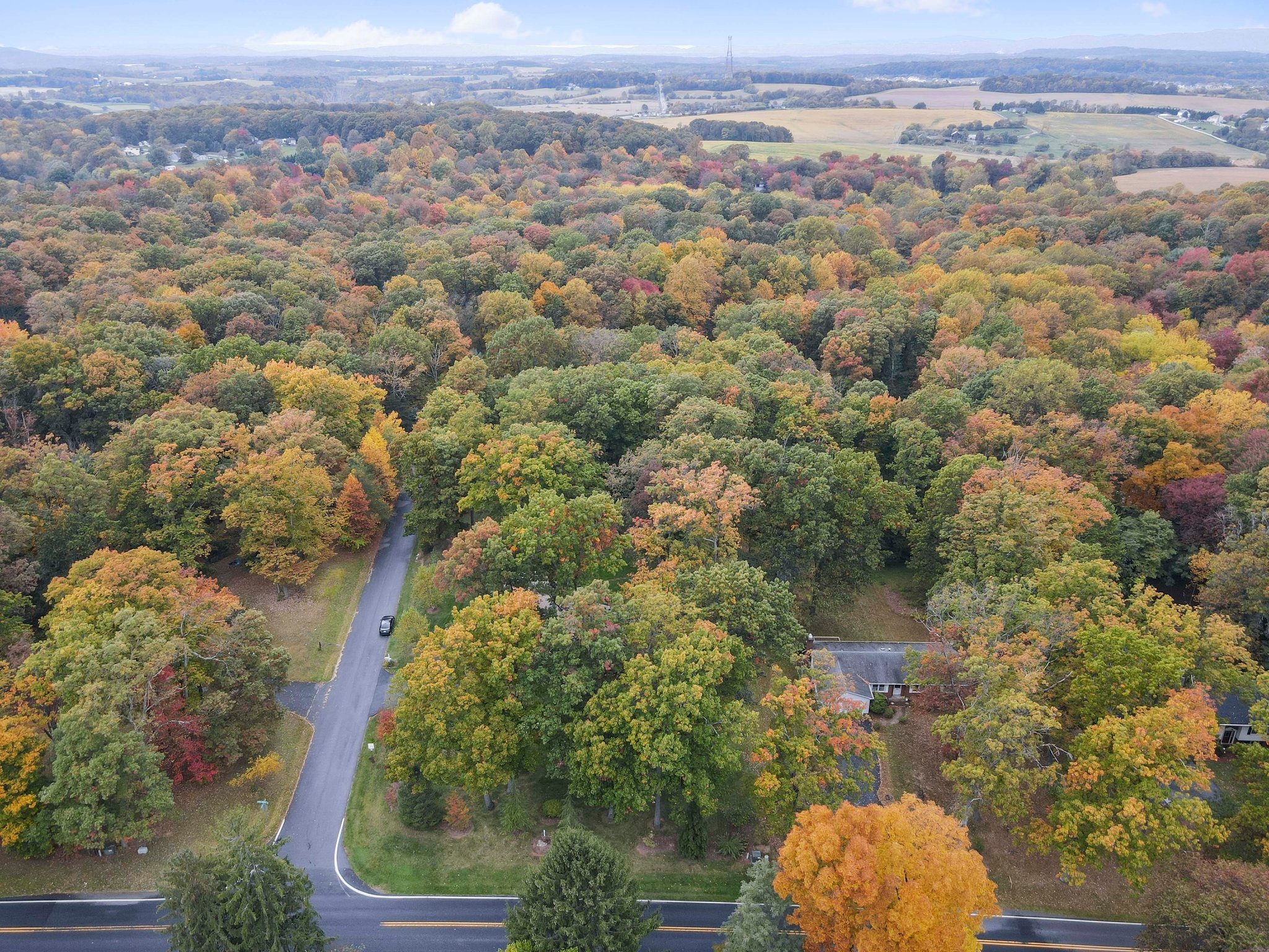 4024 Lynn Burke Rd, Monrovia, MD 21770, USA Photo 49