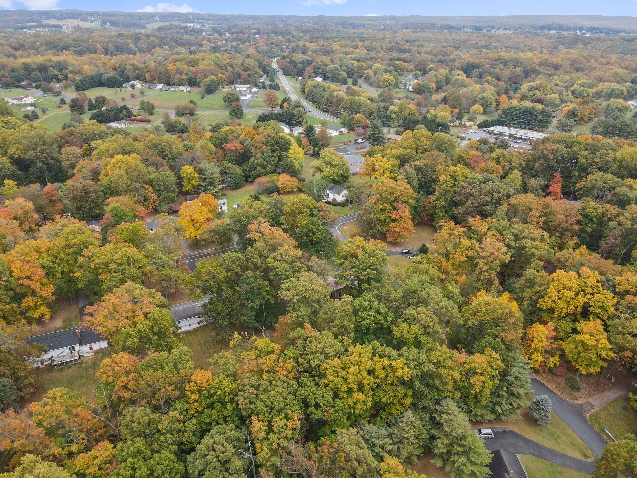 4024 Lynn Burke Rd, Monrovia, MD 21770, USA Photo 51