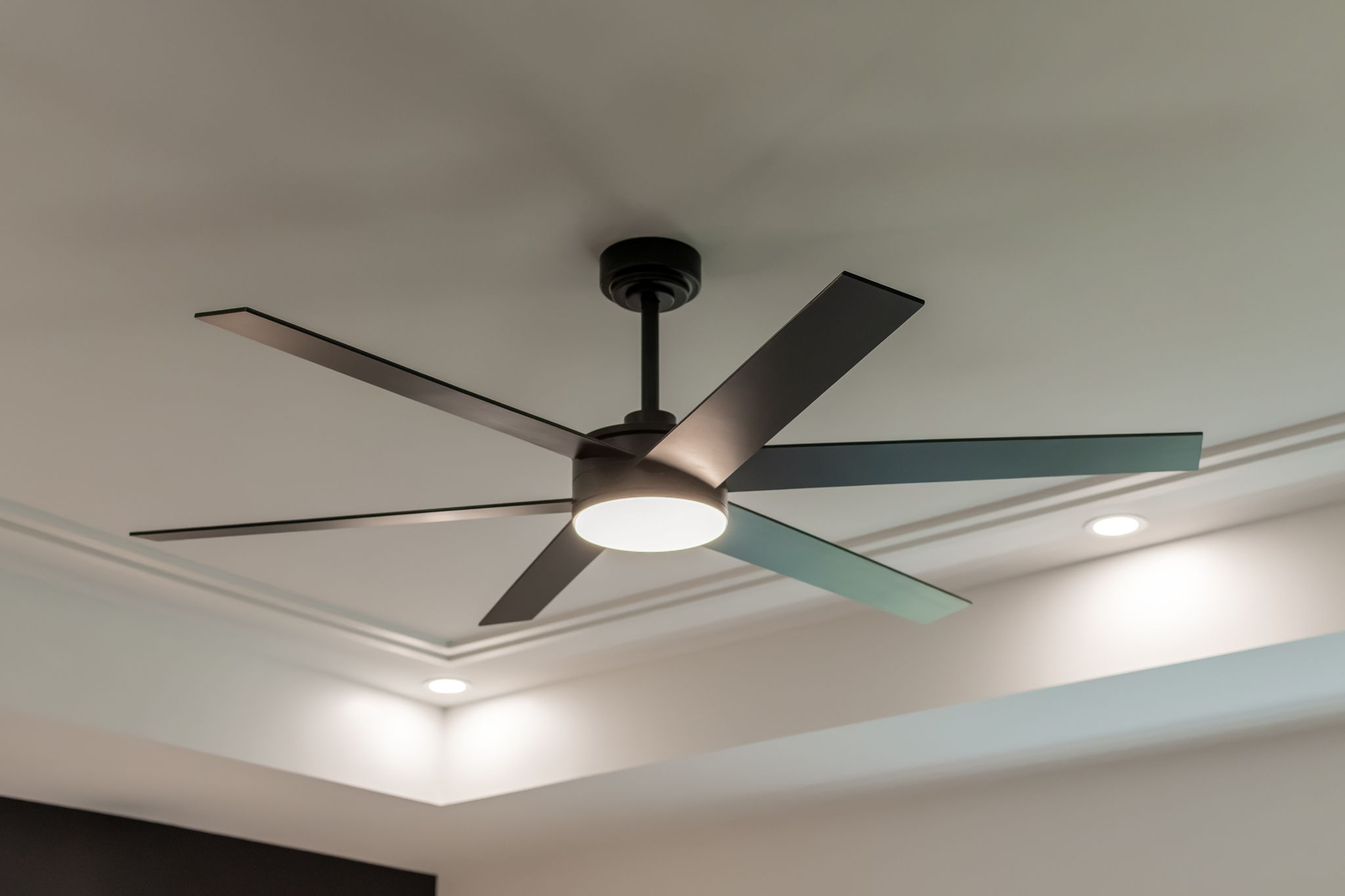  Photo 159