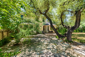 Framed by majestic oak trees, the home greets you with immediate beauty, setting the tone for the interior's natural elegance.