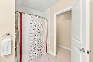  Photo 39