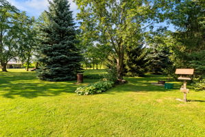  Photo 43