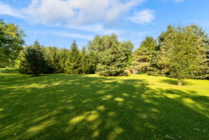  Photo 45