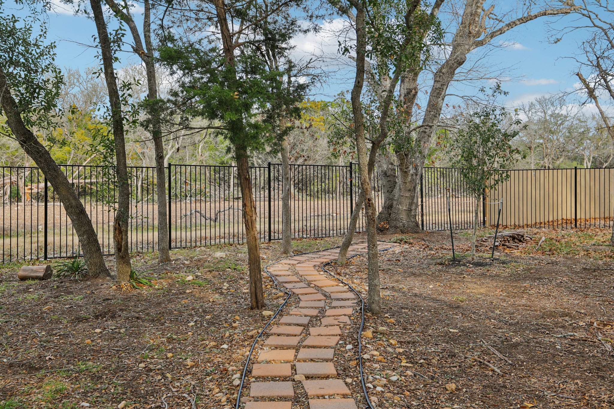 Ancient Oak Way-S0402-062.jpg