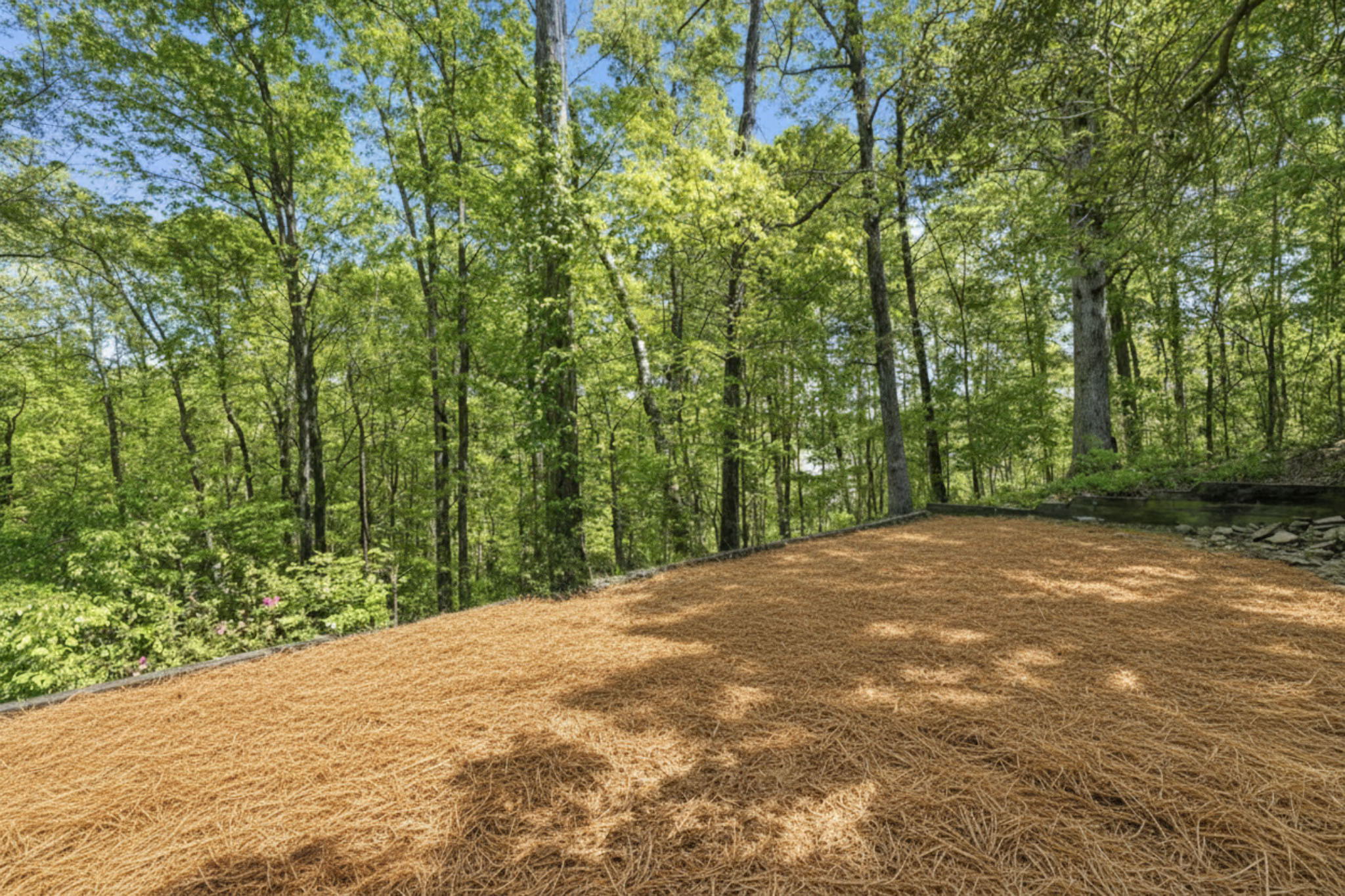 Blank Canvas...Cornhole?  Horseshoes? Garden?  Steps away a large flat space