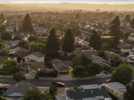  Photo 100