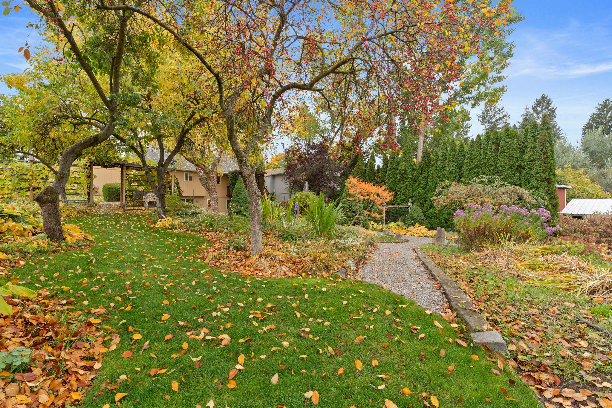  Photo 40