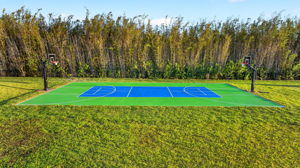 Basketball / Pickleball