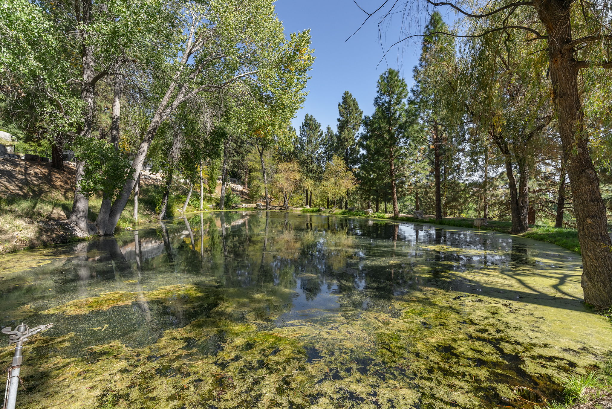 4045 Old Highway 395 Photo 122