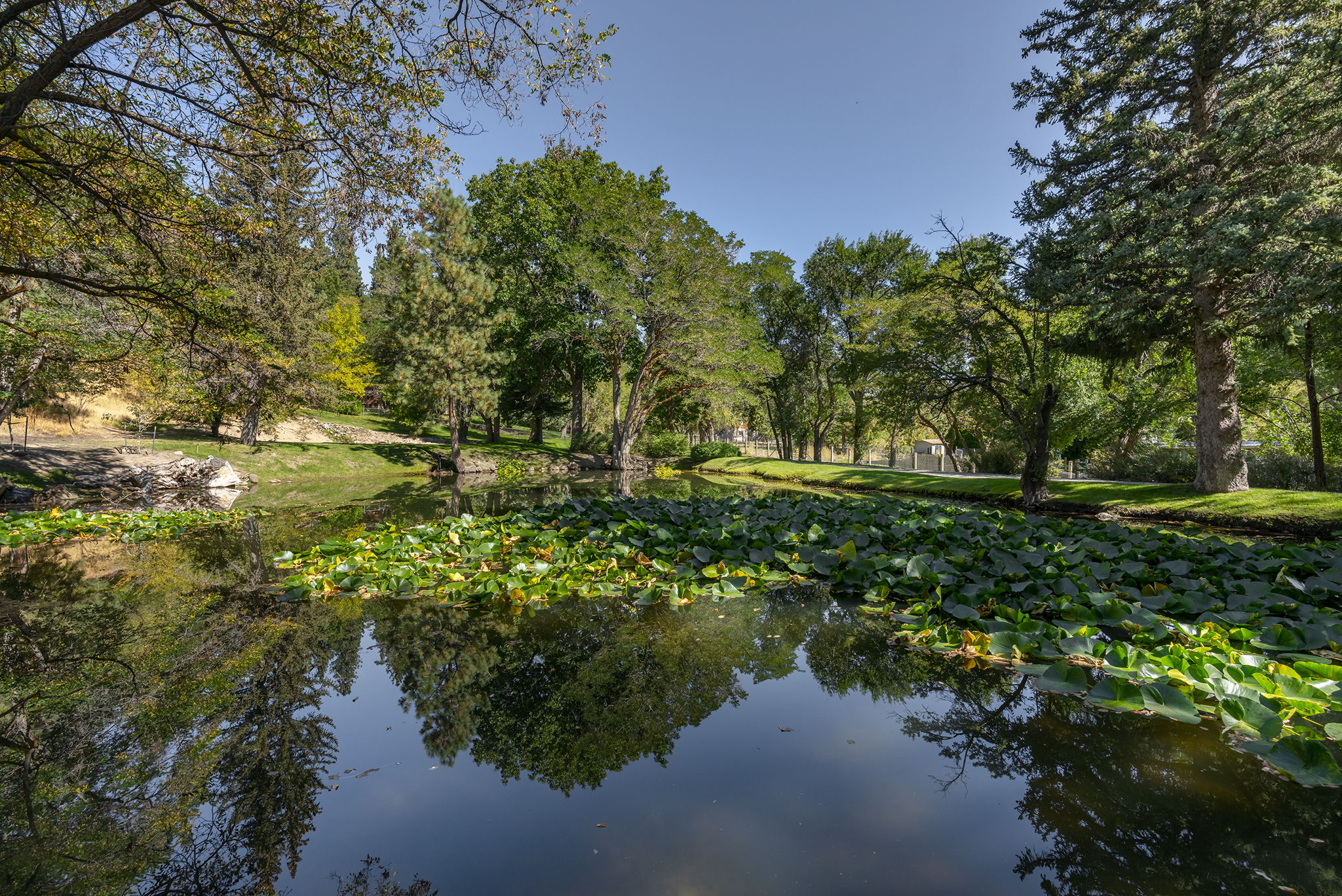 4045 Old Highway 395 Photo 121