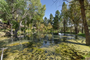 4045 Old Highway 395 Photo 121