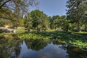 4045 Old Highway 395 Photo 120