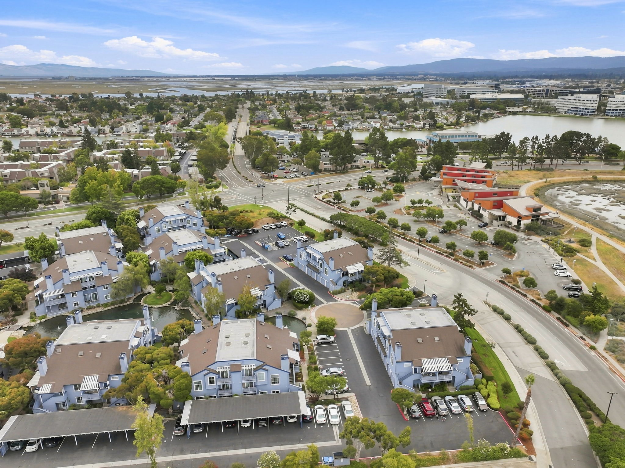  Photo 61