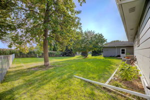 18 Back Yard
