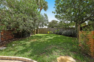 Side Yard for Play & Pets