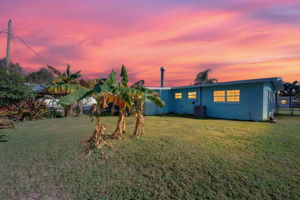 Backyard - Virtual Twilight