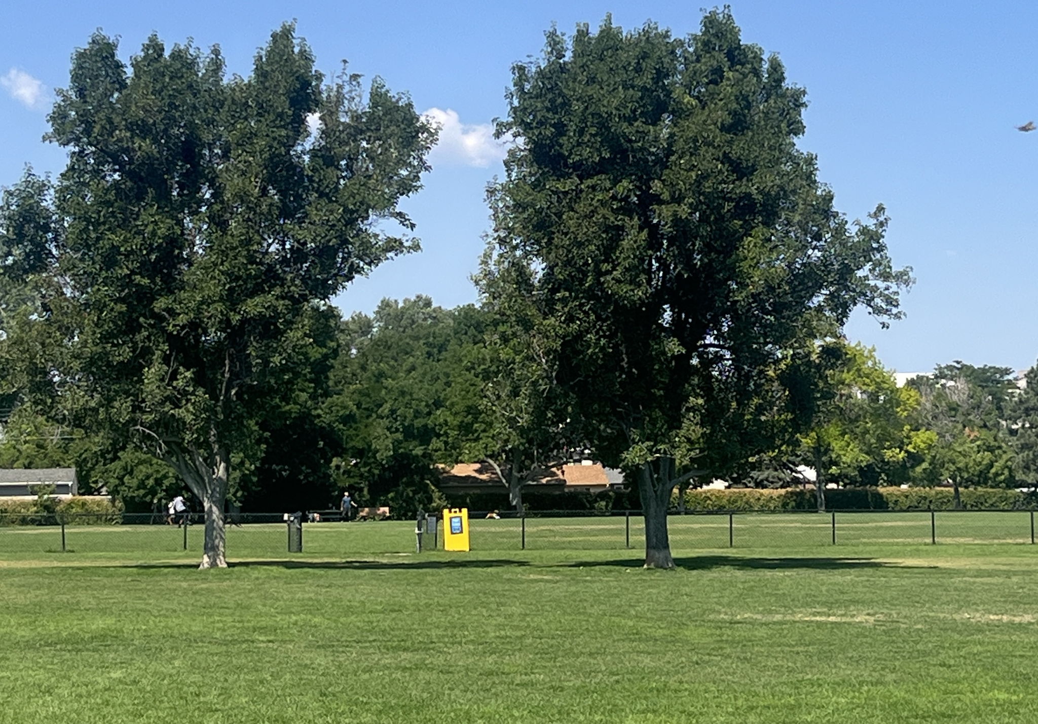 Dog Lovers! A wonderful off-leash dog park just a few blocks away!!