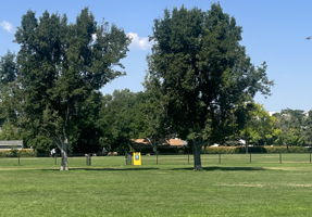 Dog Lovers! A wonderful off-leash dog park just a few blocks away!!
