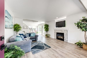 Beautiful Entry into Living Room