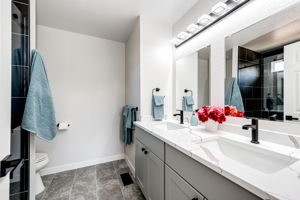 Gorgeous Primary Bathroom