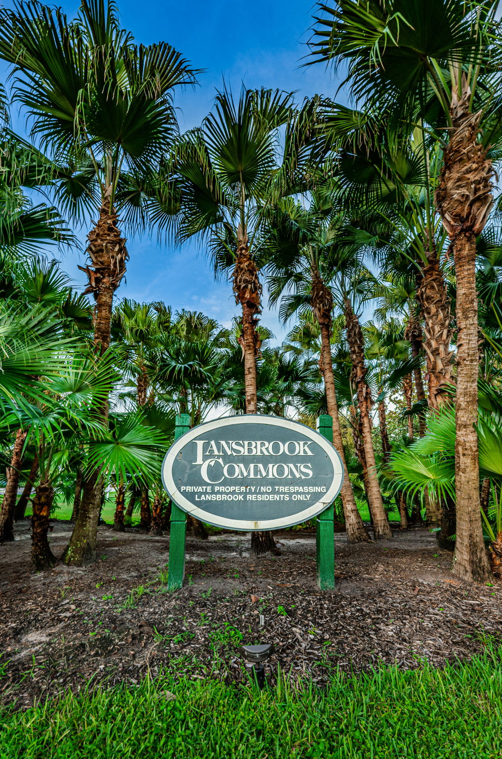 2-Lansbrook Commons Park