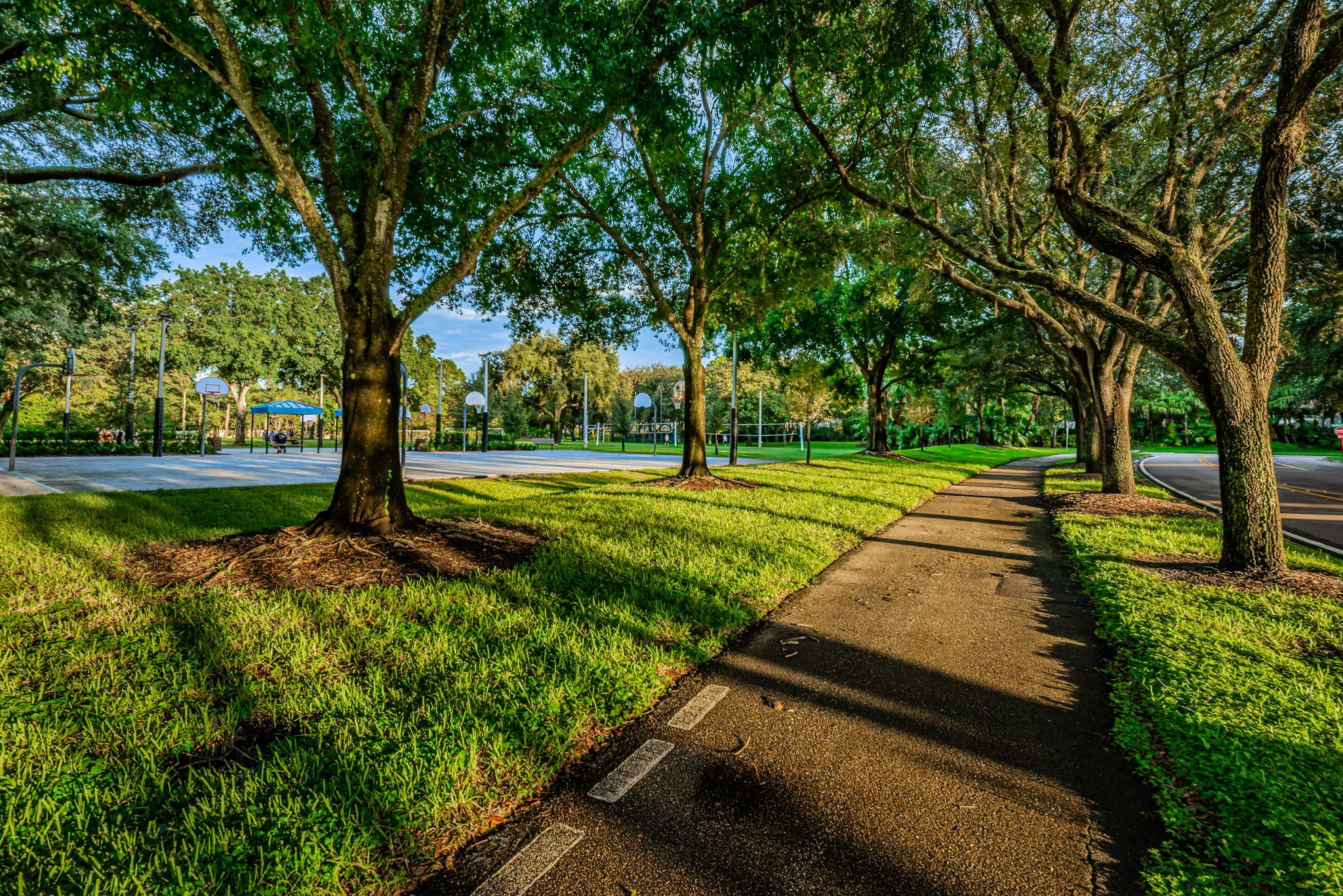 3-Lansbrook Commons Park