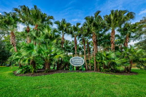 1-Lansbrook Commons Park