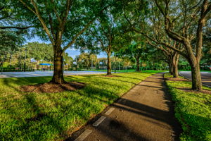 3-Lansbrook Commons Park