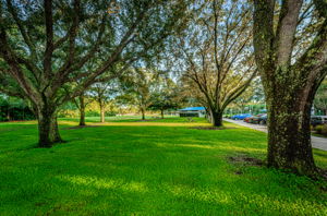 4-Lansbrook Commons Park