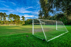 6-Lansbrook Commons Park