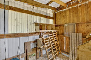  Photo 49