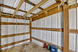 Photo 50