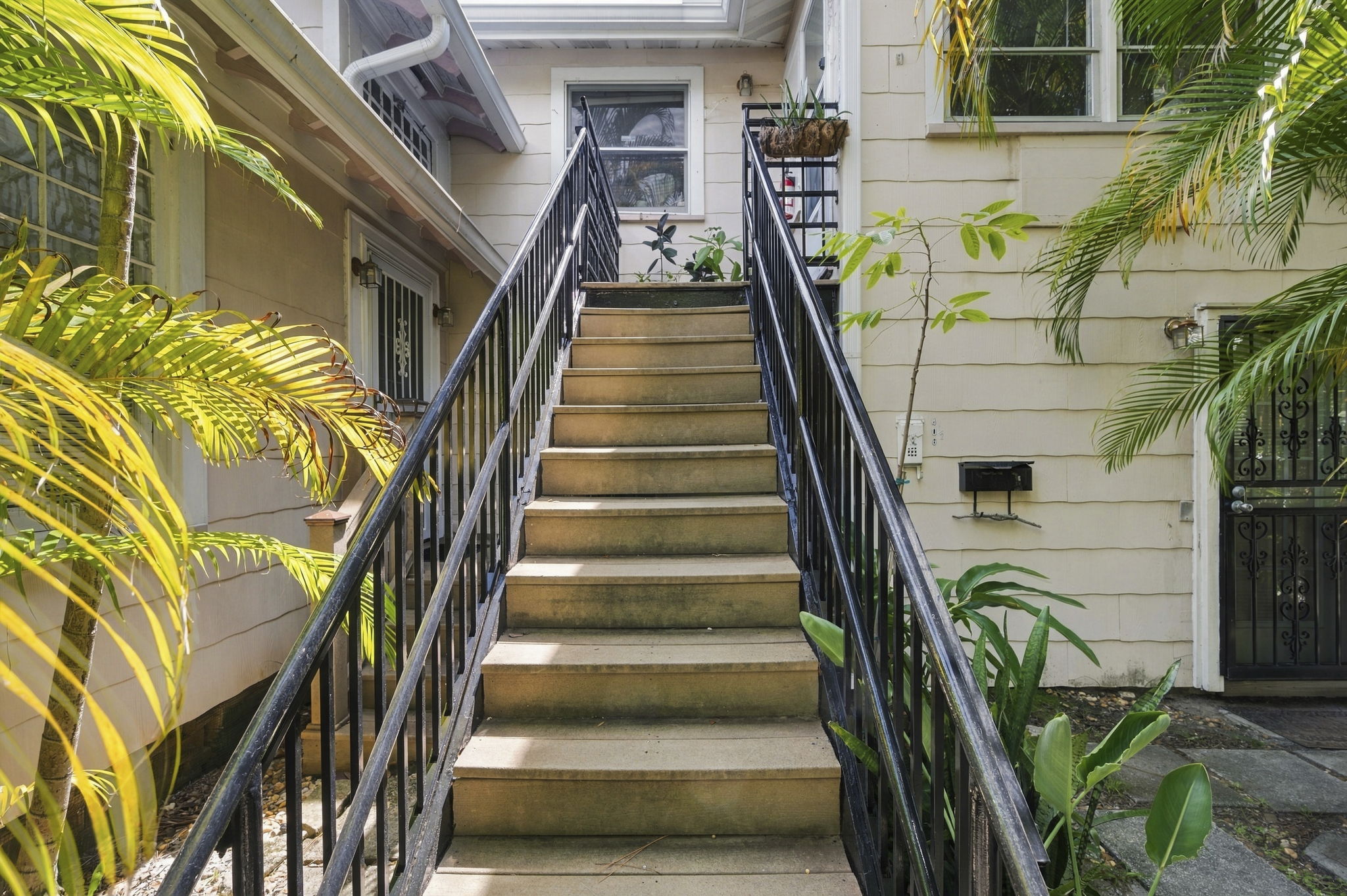 TTP_3886_1