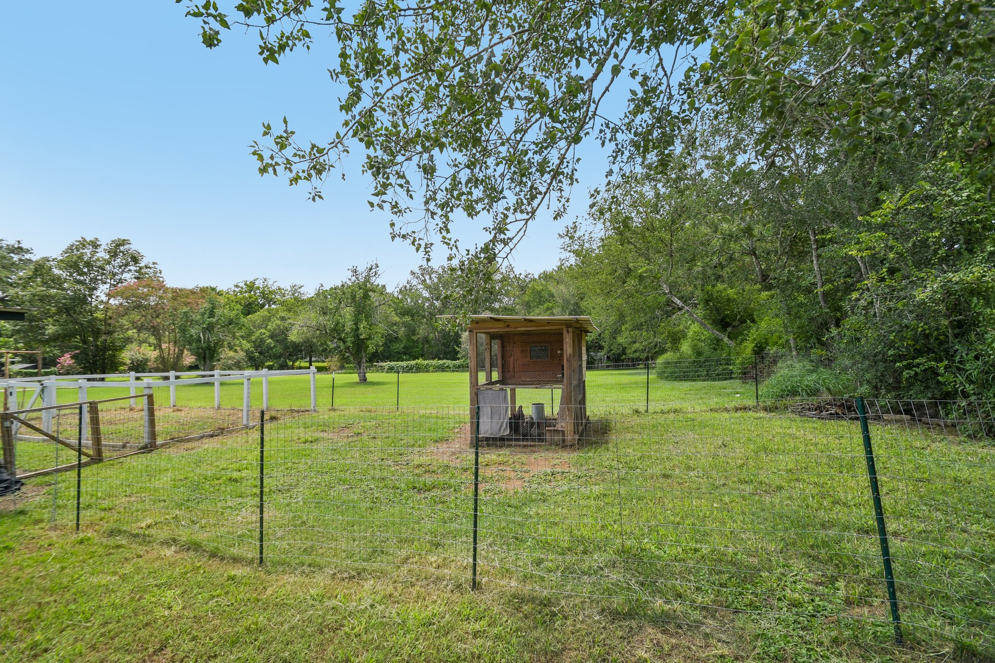 Live Oak St-S1807-038.jpg
